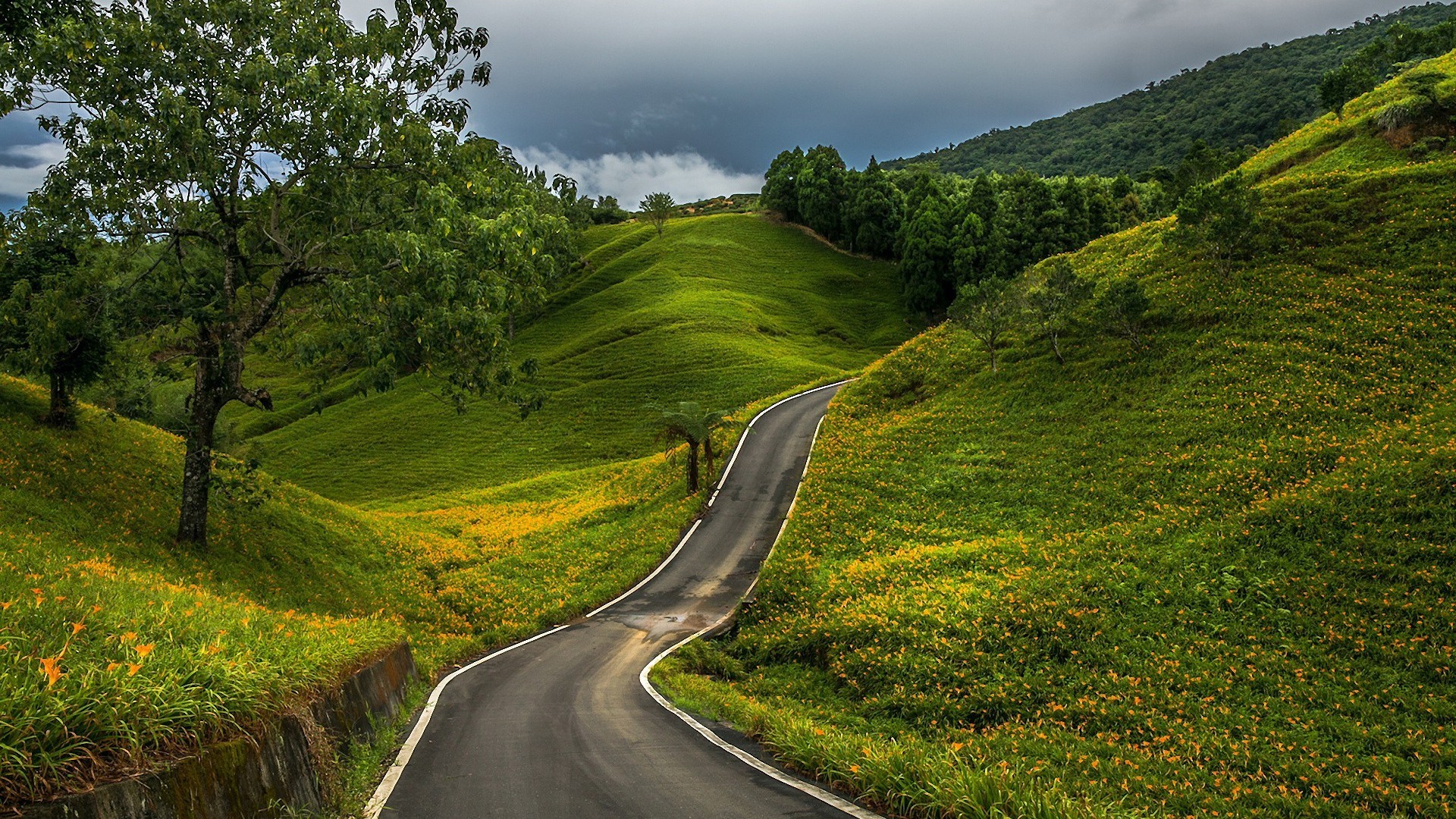 Road Through The Green Hills Nature Hd Wallpaper 19 1080 3813 Folkbro