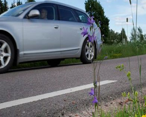 E4, Ljungby–Toftanäs2