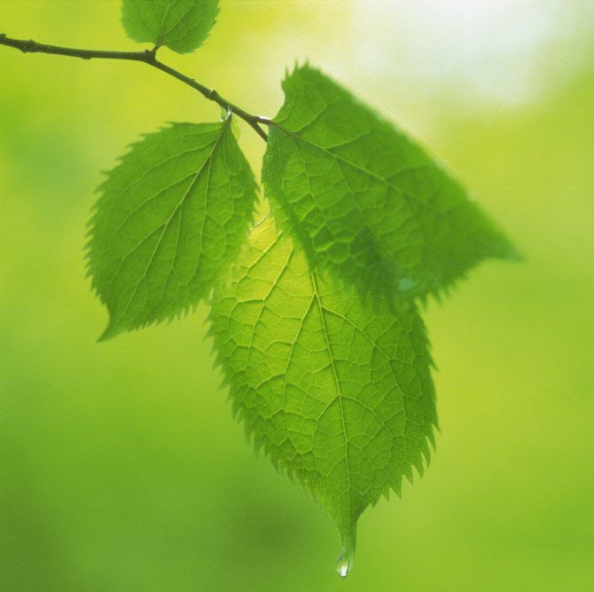 klimatkalkyl3_portfolio